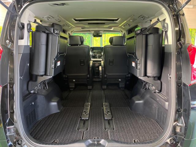 アルファード 2.5S Cパッケージ ツインムーンルーフ 三眼LED 禁煙車 純正9型ディスプレイTV 純正12型後席モニター バックカメラ セーフティセンス ブラインドスポットモニタ デジタルインナーミラー 電動バックドア DVD再生(51枚目)