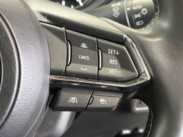 �y�}�c�_�E���[�_�[�N���[�Y�R���g���[���z�������H�ł̒��������s���y�ɁI�����ő��x��ۂN���[�Y�R���g���[�����A�Փˌy���V�X�e���ƘA�g���A�O���̎ԗ������m���ĎԊԂ�ۂ悤�ɑ��x���߂��Ă���܂��I�I