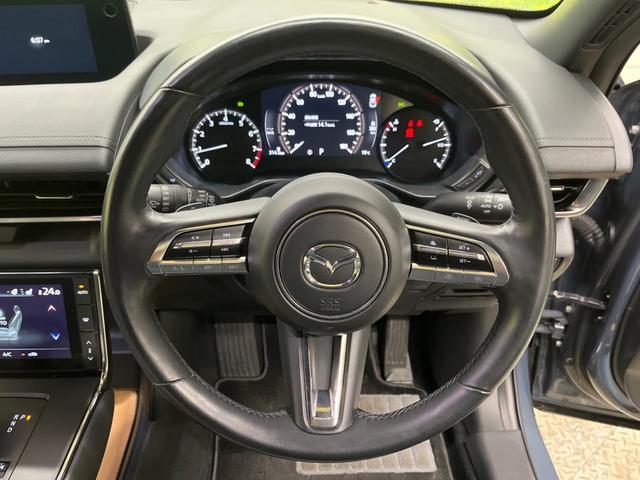 �y�X�}�[�g�u���[�L�T�|�[�g�z�X�e���I�J�����ő��s���ɑO���̎ԗ���F���B�Փ˂̊댯�������Ɣ��f�����ꍇ�Ɍx���ً}�u���[�L�ŏՓˉ����Փˎ��̔�Q���y�����܂��B