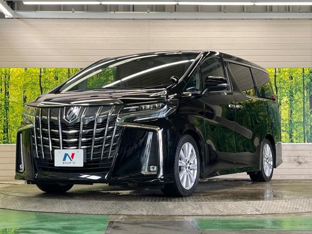 アルファード ２．５Ｓ　禁煙車　８人乗　純正９型ディスプレイＴＶ　純正１２型後席モニター　両側電動ドア　バックカメラ　セーフティセンス　レーダークルーズ　インテリジェントクリアランスソナー　ＥＴＣ　ＤＶＤ再生（52枚目）