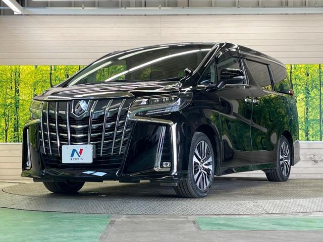 アルファード ２．５Ｓ　Ｃパッケージ　禁煙車　ツインムーンルーフ　純正９型ディスプレイＴＶ　純正１２型後席モニター　バックカメラ　トヨタセーフティセンス　ブラインドスポットモニタ　デジタルインナーミラー　両側電動ドア　電動バックドア（51枚目）