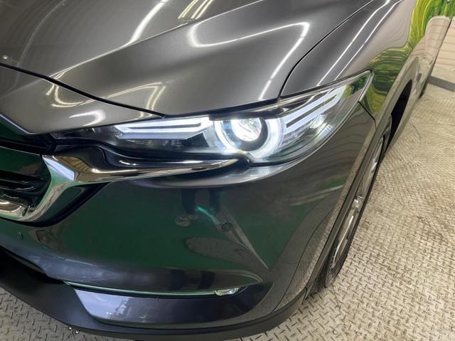 �y�k�d�c�w�b�h���C�g�z���V����ԑ��s�����ǍD�Ȏ��E���m�ۂ����S���ĉ^�]�ł��鍂�P�x�k�d�c�w�b�h���C�g�𑕔��I�_�����x�������A����d�͂��}�����Ă��܂��B