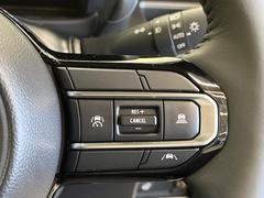 �ڥ����ץƥ��֥��롼������ȥ�����۹�®ƻϩ�Ǥ�Ĺ��Υ���Ԥ��ڤˡ�����ư��®�٤��ݤĥ��롼������ȥ����뤬�����ͷڸ������ƥ��Ϣ�Ȥ��������μ�ξ���Τ��Ƽִ֤��ݤĤ褦��®��Ĵ�ᤷ�Ƥ���ޤ����� 4