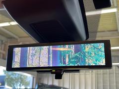 �ڥ���ƥꥸ����ȥ롼��ߥ顼�۸��ʤ��礭�ʲ�ʪ��Ʊ��ԤǸ�������ǧ���Ť餤���Ǥ�¿�������餬���Ƥ�����ξ�����α�����롼��ߥ顼���ɽ�������ꥢ�ʻ볦�Ǿ����γ�ǧ����ǽ�Ǥ��� 7