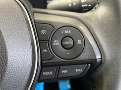 �ڥ졼�������롼������ȥ�����۹�®ƻϩ�Ǥ�Ĺ��Υ���Ԥ��ڤˡ�����ư��®�٤��ݤĥ��롼������ȥ����뤬�����ͷڸ������ƥ��Ϣ�Ȥ��������μ�ξ���Τ��Ƽִ֤��ݤĤ褦��®��Ĵ�ᤷ�Ƥ���ޤ����� 5