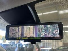 �ڥ���ƥꥸ����ȥ롼��ߥ顼�۸��ʤ��礭�ʲ�ʪ��Ʊ��ԤǸ�������ǧ���Ť餤���Ǥ�¿�������餬���Ƥ�����ξ�����α�����롼��ߥ顼���ɽ�������ꥢ�ʻ볦�Ǿ����γ�ǧ����ǽ�Ǥ��� 5