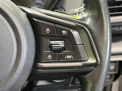 ������®�ɽ���ǽ�ե��롼������ȥ�����۹�®ƻϩ�Ǥ�Ĺ��Υ���Ԥ��ڤˡ�����ư��®�٤��ݤĥ��롼������ȥ����뤬�����ͷڸ������ƥ��Ϣ�Ȥ��������μ�ξ���Τ��Ƽִ֤��ݤĤ褦��®��Ĵ�ᤷ�Ƥ���ޤ����� 6