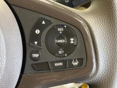 �ڥۥ�����󥷥󥰡�������������μ�ξ����ǧ���������ͤ������ʻ��Ϸ���ȥ֥졼���Ǿ��Ͳ�����ﳲ�ڸ��򥢥����ȡ��������˥ɥ饤�֤򤪳ڤ��ߤ��������ޤ��� 5