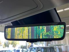 �ڥǥ����륤��ʡ��ߥ顼�۸��ʤ��礭�ʲ�ʪ��Ʊ��ԤǸ�������ǧ���Ť餤���Ǥ�¿�������餬���Ƥ�����ξ�����α�����롼��ߥ顼���ɽ�������ꥢ�ʻ볦�Ǿ����γ�ǧ����ǽ�Ǥ��� 6