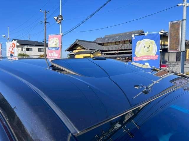 �T�����[�t�t����