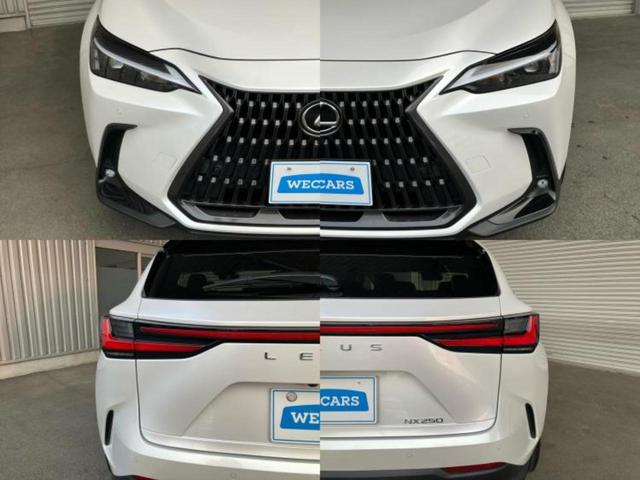 ＮＸ ＮＸ２５０　保証書／ディスプレイオーディオ＋ナビ１４インチ／プリクラッシュセーフティ／車線逸脱防止支援システム／シート　合皮／電動バックドア／ヘッドランプ　ＬＥＤ／Ｂｌｕｅｔｏｏｔｈ接続／ＥＴＣ　バックカメラ（51枚目）