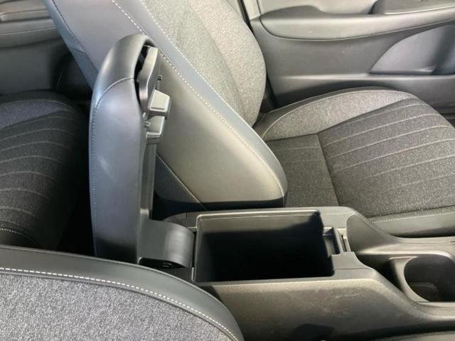 �u���̎Ԃ̎ʐ^�������ƌ������v�u��Ԃ��C�ɂȂ�v�u���̑����͂��Ă���H�v�ǂ�ȏ����ȋ^��ł����C�y�ɂ��₢���킹���������I