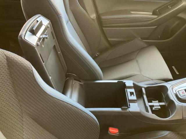 �u���̎Ԃ̎ʐ^�������ƌ������v�u��Ԃ��C�ɂȂ�v�u���̑����͂��Ă���H�v�ǂ�ȏ����ȋ^��ł����C�y�ɂ��₢���킹���������I