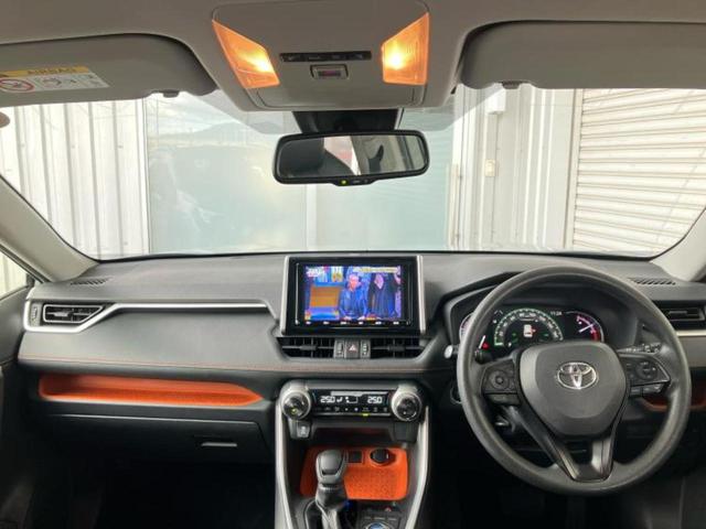 �u���̎Ԃ̎ʐ^�������ƌ������v�u��Ԃ��C�ɂȂ�v�u���̑����͂��Ă���H�v�ǂ�ȏ����ȋ^��ł����C�y�ɂ��₢���킹���������I