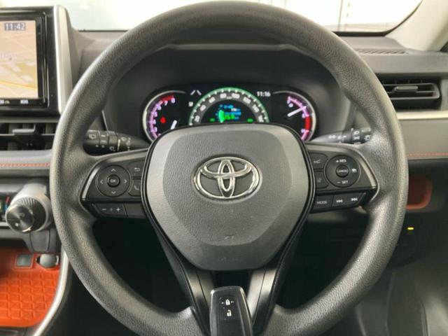 �v�d�b�`�q�r�̓W����ł͎��ۂɌ��āA�G���Ă��Ԃ����I�т��������܂��I�m���̖L�x�ȉc�ƃX�^�b�t���l�X�ȃJ�[���C�t������Ă������܂��I