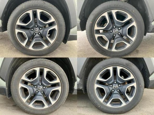 �u���̎Ԃ̎ʐ^�������ƌ������v�u��Ԃ��C�ɂȂ�v�u���̑����͂��Ă���H�v�ǂ�ȏ����ȋ^��ł����C�y�ɂ��₢���킹���������I