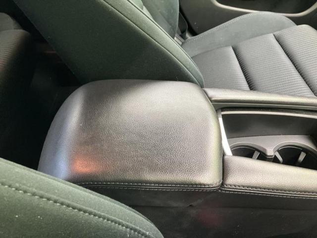 �u���̎Ԃ̎ʐ^�������ƌ������v�u��Ԃ��C�ɂȂ�v�u���̑����͂��Ă���H�v�ǂ�ȏ����ȋ^��ł����C�y�ɂ��₢���킹���������I