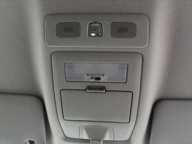 �u���̎Ԃ̎ʐ^�������ƌ������v�u��Ԃ��C�ɂȂ�v�u���̑����͂��Ă���H�v�ǂ�ȏ����ȋ^��ł����C�y�ɂ��₢���킹���������I