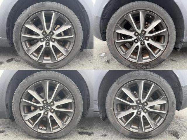 �u���̎Ԃ̎ʐ^�������ƌ������v�u��Ԃ��C�ɂȂ�v�u���̑����͂��Ă���H�v�ǂ�ȏ����ȋ^��ł����C�y�ɂ��₢���킹���������I