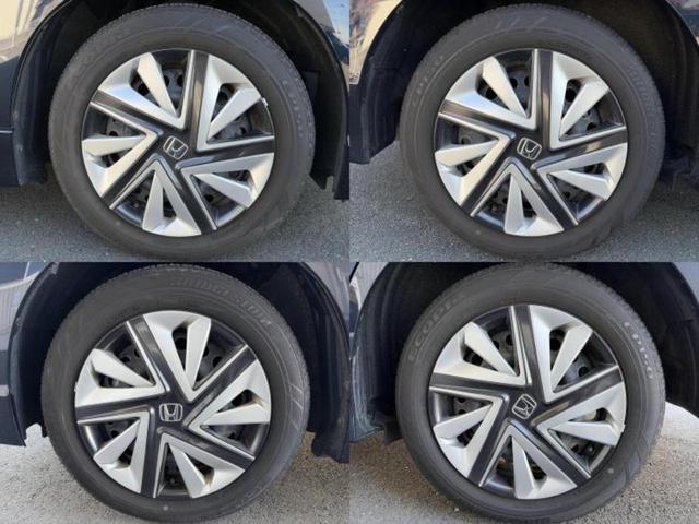 �u���̎Ԃ̎ʐ^�������ƌ������v�u��Ԃ��C�ɂȂ�v�u���̑����͂��Ă���H�v�ǂ�ȏ����ȋ^��ł����C�y�ɂ��₢���킹���������I