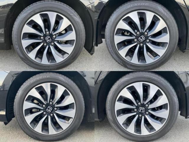 �u���̎Ԃ̎ʐ^�������ƌ������v�u��Ԃ��C�ɂȂ�v�u���̑����͂��Ă���H�v�ǂ�ȏ����ȋ^��ł����C�y�ɂ��₢���킹���������I