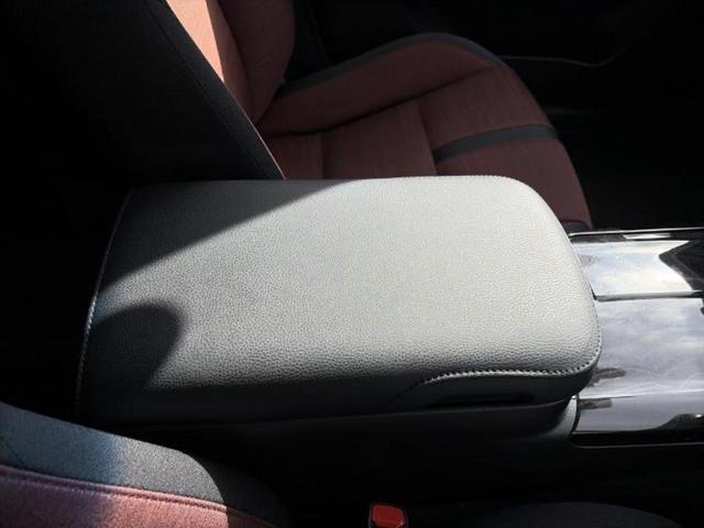 �u���̎Ԃ̎ʐ^�������ƌ������v�u��Ԃ��C�ɂȂ�v�u���̑����͂��Ă���H�v�ǂ�ȏ����ȋ^��ł����C�y�ɂ��₢���킹���������I