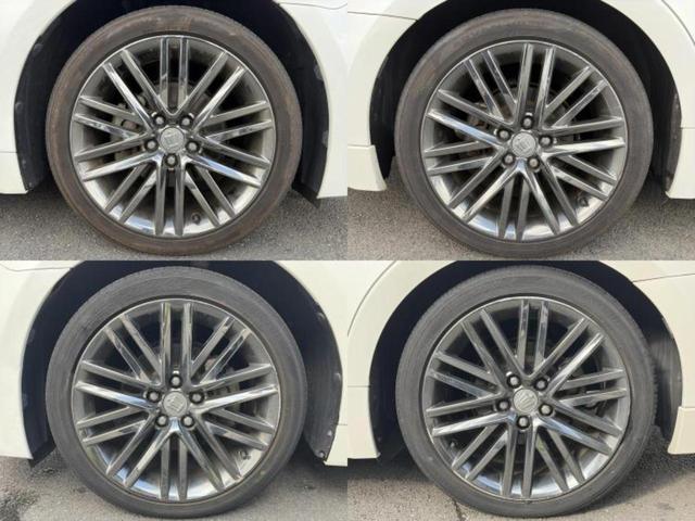 �u���̎Ԃ̎ʐ^�������ƌ������v�u��Ԃ��C�ɂȂ�v�u���̑����͂��Ă���H�v�ǂ�ȏ����ȋ^��ł����C�y�ɂ��₢���킹���������I