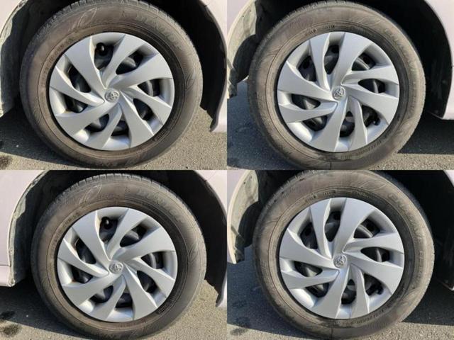 �u���̎Ԃ̎ʐ^�������ƌ������v�u��Ԃ��C�ɂȂ�v�u���̑����͂��Ă���H�v�ǂ�ȏ����ȋ^��ł����C�y�ɂ��₢���킹���������I