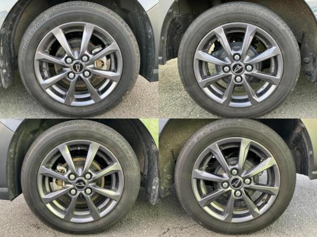 �u���̎Ԃ̎ʐ^�������ƌ������v�u��Ԃ��C�ɂȂ�v�u���̑����͂��Ă���H�v�ǂ�ȏ����ȋ^��ł����C�y�ɂ��₢���킹���������I