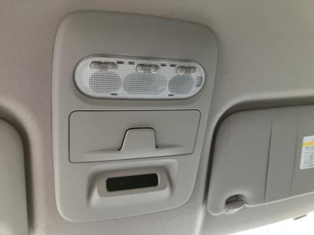 �u���̎Ԃ̎ʐ^�������ƌ������v�u��Ԃ��C�ɂȂ�v�u���̑����͂��Ă���H�v�ǂ�ȏ����ȋ^��ł����C�y�ɂ��₢���킹���������I