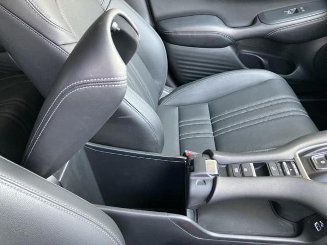 �u���̎Ԃ̎ʐ^�������ƌ������v�u��Ԃ��C�ɂȂ�v�u���̑����͂��Ă���H�v�ǂ�ȏ����ȋ^��ł����C�y�ɂ��₢���킹���������I