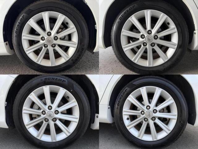 �u���̎Ԃ̎ʐ^�������ƌ������v�u��Ԃ��C�ɂȂ�v�u���̑����͂��Ă���H�v�ǂ�ȏ����ȋ^��ł����C�y�ɂ��₢���킹���������I