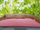 ボディカラーと統一されたルーフが、車全体にまとまりのある印象をもたらします。すっきりとした面の広がりとアンテナの配置が特徴で、上から見ても洗練された佇まいを感じられます。