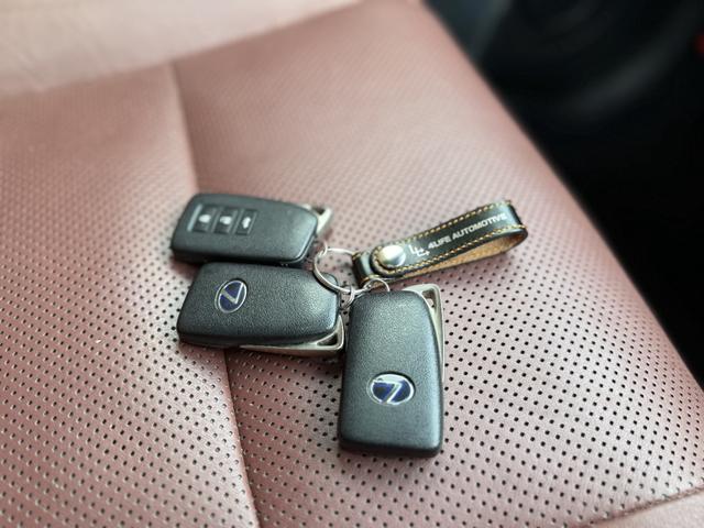 ＧＳ ＧＳ４５０ｈ　Ｆスポーツ　ダウンサス　スピンドルグリル（15枚目）