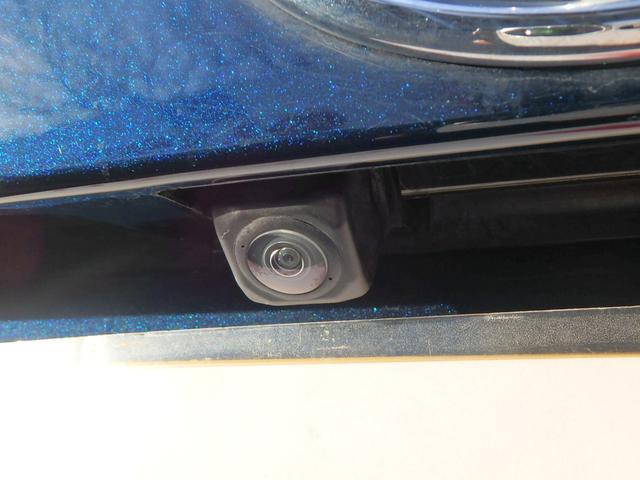 ピクシスメガ Ｄ　ＳＡＩＩＩ　ドライブレコーダー　キーレス　ブレーキサポート　レーンサポート　ソナー　アイドリングストップ　Ｗエアバッグ　電動格納ミラー（10枚目）