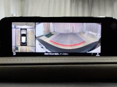 �Хå���˥����դ��ʤΤǼָ������饯�饯�Ǥ��� 6