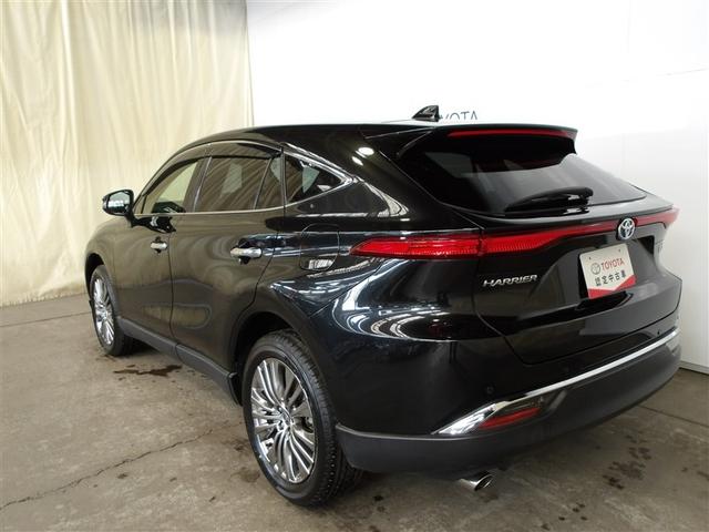 �Ԍ�������p���݂ł��􂺂Ђ�������������