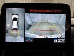 �Хå���˥����դ��ʤΤǼָ������饯�饯�Ǥ��� 6