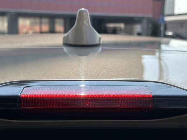 ライズ Z(56枚目)