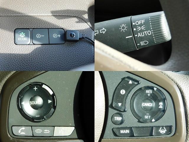 �I�[�g���C�g�@�X�e�����@�N���R���t��