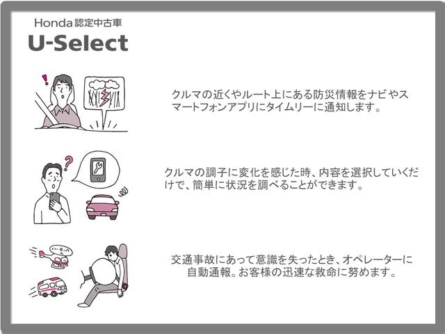 フリード Ｇ　ナビ・バックカメラ・Ｂｌｕｅｔｏｏｔｈ　ＩＳＳ　メモリナビ　バックカメラ　盗難防止装置　Ｗエアバック　ＶＳＡ　キーフリ　ＡＡＣ　スマートキーシステム　運転席エアバッグ　パワーステアリング　ナビ（42枚目）