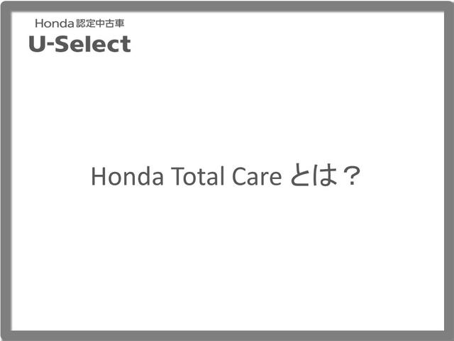 Ｇ・Ｌホンダセンシングカッパーブラウンスタイル　両側パワースライドドア・ナビ・Ｂｌｕｅｔｏｏｔｈ・ＥＴＣ・ＤＶＤ再生　レーダーブレーキ　クリアランスソナー　スマートキー＆プッシュスタート　地デジＴＶ　リアカメラ　オートライト　キーフリー　両側ＰＳＤ(51枚目)