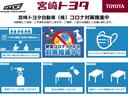 ハイブリッドＧ　Ｚ　衝突軽減　バックガイドモニター　地デジ　ＬＥＤ　イモビ　スマ－トキ－　サイドエアバッグ　キーフリー　Ｗエアバッグ　整備記録簿　ナビＴＶ　横滑り防止機能　ＡＢＳ　ＤＶＤ　アルミ　ドライブレコーダー(44枚目)