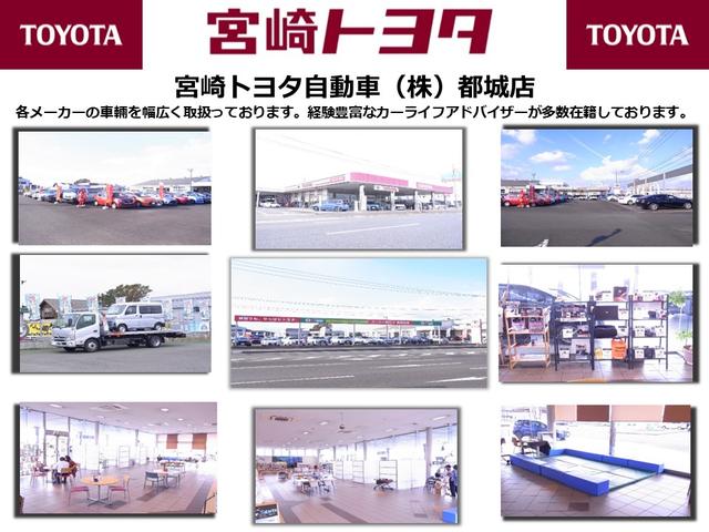 TX 衝突被害軽減システム メモリーナビ バックカメラ ETC 記録簿 フル装備 CVT アイドリングストップ キーレス 盗難防止装置(40枚目)