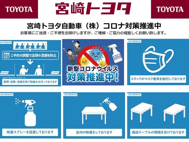 TX 衝突被害軽減システム メモリーナビ バックカメラ ETC 記録簿 フル装備 CVT アイドリングストップ キーレス 盗難防止装置(41枚目)