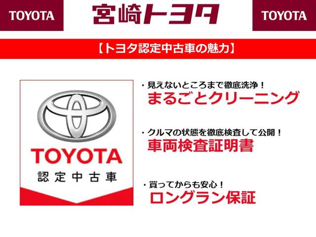 TX 衝突被害軽減システム メモリーナビ バックカメラ ETC 記録簿 フル装備 CVT アイドリングストップ キーレス 盗難防止装置(42枚目)