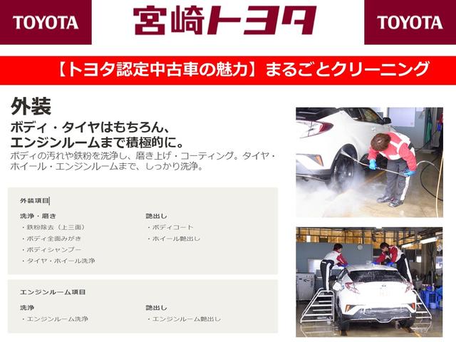 TX 衝突被害軽減システム メモリーナビ バックカメラ ETC 記録簿 フル装備 CVT アイドリングストップ キーレス 盗難防止装置(45枚目)