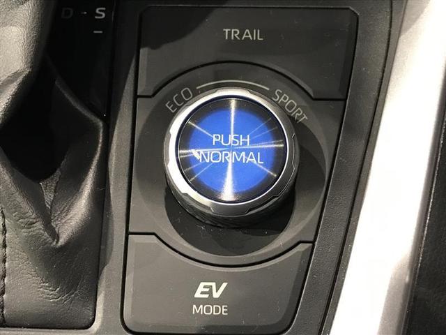 RAV4 ハイブリッドG 衝突被害軽減装置 ドライブレコーダ パノラマサンルーフ AC100V電源 バックモニター 地デジTV LEDヘッドライト スマキー 電動シ-ト AWD TVナビ パワステ 横滑り防止装置 クルコン(17枚目)
