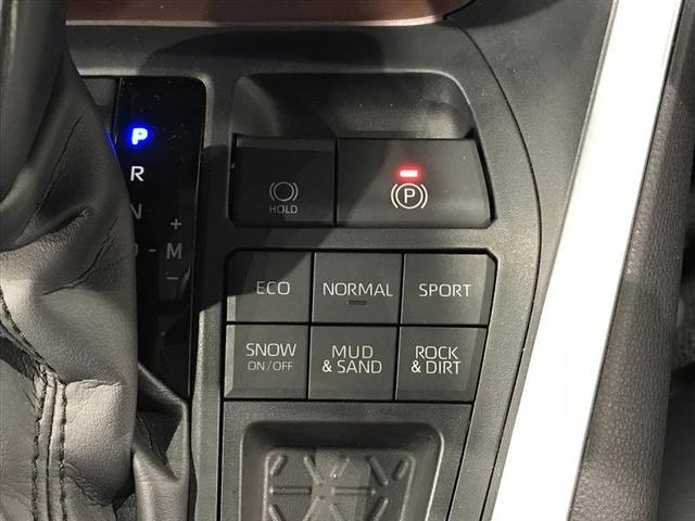 ＲＡＶ４ Ｇ　Ｂカメラ　点検記録簿　パワーウインドウ　カーテンエアバック　運転席パワーシート　イモビライザー　キーレス　ＥＴＣ付　ＬＥＤヘッドライ　クルコン　オートエアコン　横滑り防止装置　４ＷＤ車　エアバッグ（13枚目）