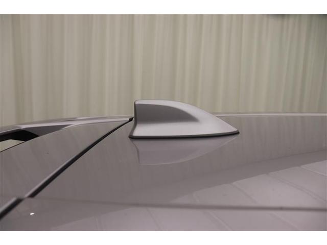 【ドルフィンアンテナ】スポーティでカッコイイ♪